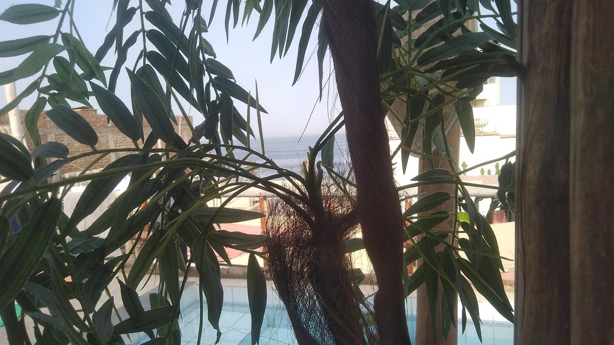 Appartamento Huanchaco Surf Camp Esterno foto