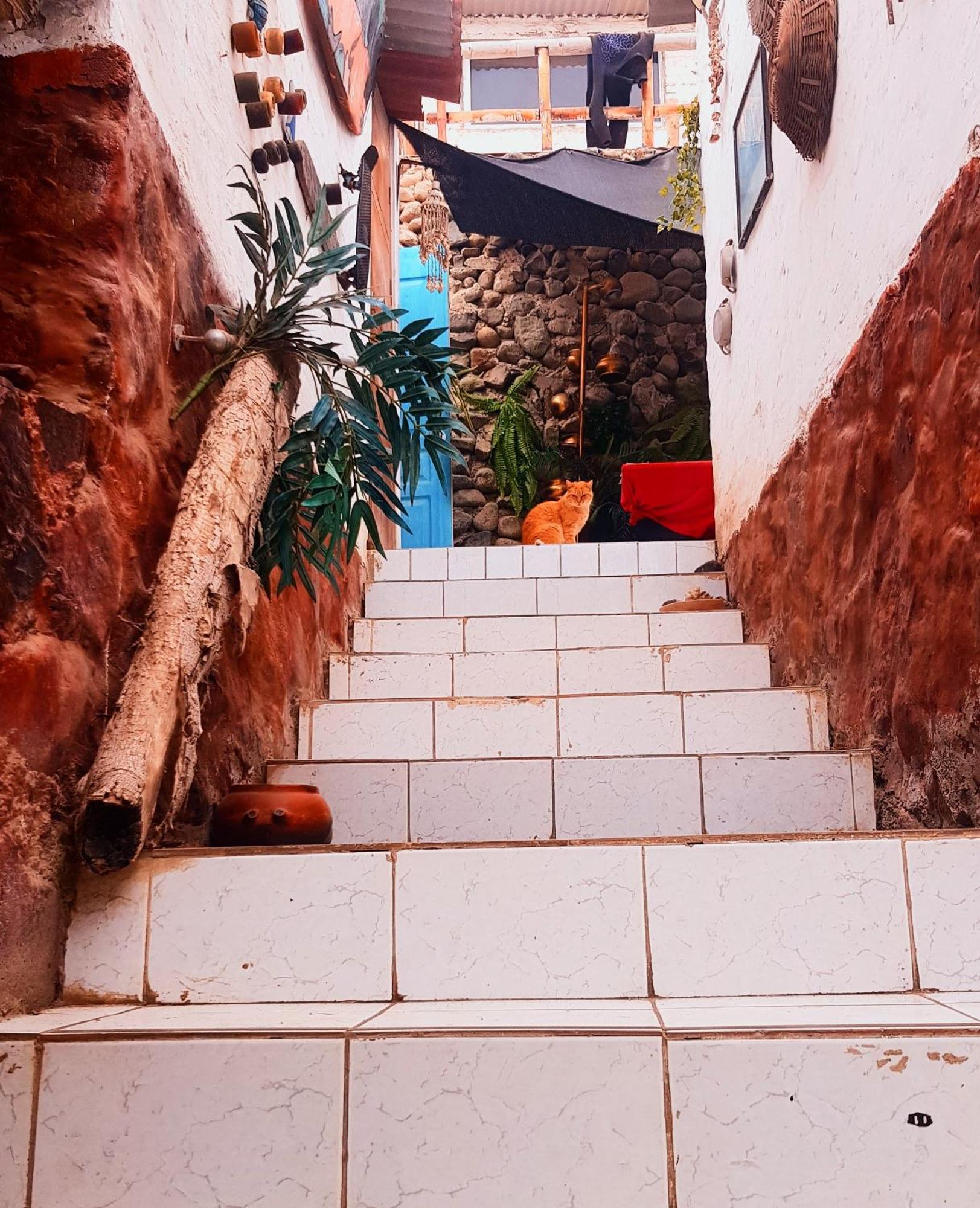 Appartamento Huanchaco Surf Camp Esterno foto